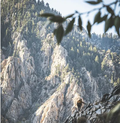 IGNITE: Life Coaching & Mentorship