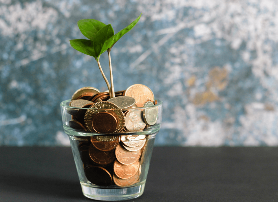 IGNITE: Life Coaching & Mentorship